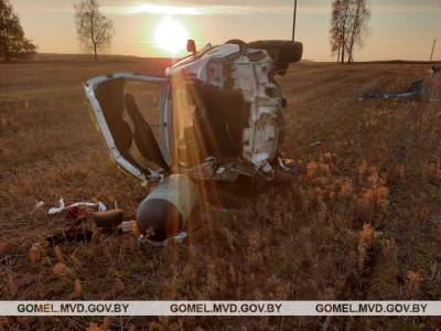 Россиянин угнал такси и попал в серьезную аварию возле Ветки - naviny.by - Россия - Белоруссия - Гомель - район Ветковский