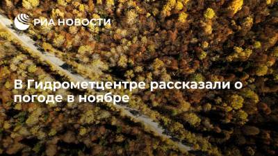 Роман Вильфанд - Вильфанд сообщил, что температура в ноябре на большей части России будет выше нормы - ria.ru - Москва - Россия - Красноярский край - Иркутская обл. - Кемеровская обл. - Свердловская обл. - окр.Приволжский - Чукотка - респ. Хакасия - Томская обл.