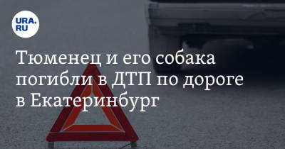Тюменец и его собака погибли в ДТП по дороге в Екатеринбург. Фото - ura.news - Екатеринбург - Тюмень