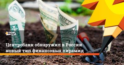 Валерий Лях - Центробанк обнаружил вРоссии новый тип финансовых пирамид - ridus.ru - Россия