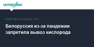 Белоруссия из-за пандемии запретила вывоз кислорода - interfax.ru - Москва - Белоруссия