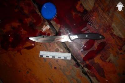 Напавший с ножом на односельчанина ревнивый гагинец предстанет перед судом - vgoroden.ru - Россия - Нижегородская обл. - Следственный Комитет