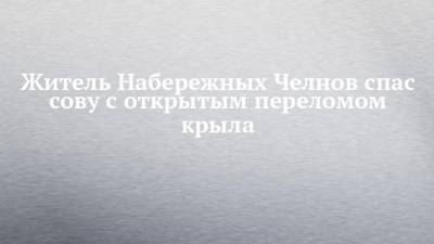 Житель Набережных Челнов спас сову с открытым переломом крыла - chelny-izvest.ru - Набережные Челны