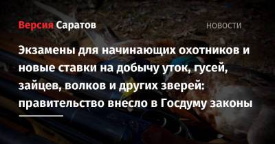 Экзамены для начинающих охотников и новые ставки на добычу уток, гусей, зайцев, волков и других зверей: правительство внесло в Госдуму законы - nversia.ru - Россия