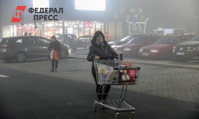 Владимир Путин - Тюменцы пожаловались Путину на запах гари от Боровской птицефабрики - fedpress.ru - Россия - Тюмень