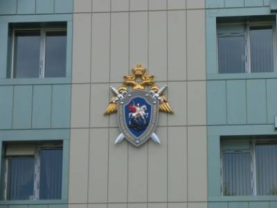 На Камчатке возбуждено дело о групповом изнасиловании 17-летней девушки-инвалида - znak.com - Россия - Петропавловск-Камчатский