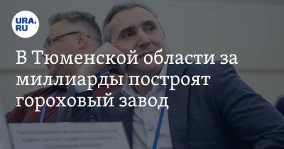 Александр Моор - В Тюменской области за миллиарды построят гороховый завод - ura.news - Россия - Тюменская обл.
