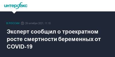 Эксперт сообщил о троекратном росте смертности беременных от COVID-19 - interfax.ru - Москва - Россия