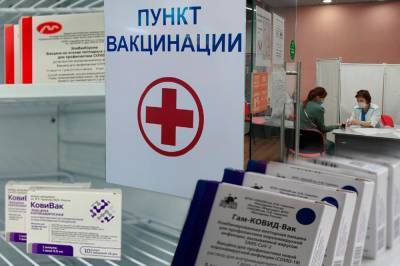 Владимир Путин - Густаво Зырянов - Осложнения после «Спутника Лайт», «Спутника V» и «ЭпиВакКороны»: как оформить 2 дня больничных в связи с вакцинацией от COVID-19 - sib.fm - Россия