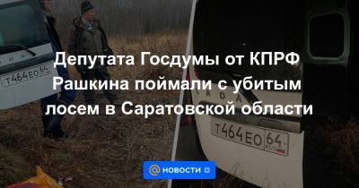 Валерий Рашкин - Депутата Госдумы от КПРФ Рашкина поймали с убитым лосем в Саратовской области - news.mail.ru - Москва - Россия - Саратовская обл. - Саратов