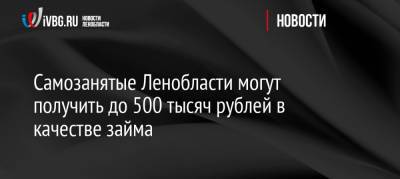 Самозанятые Ленобласти могут получить до 500 тысяч рублей в качестве займа - ivbg.ru - Украина - Ленинградская обл.