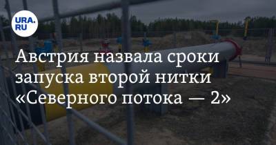 Виктор Зубков - Австрия назвала сроки запуска второй нитки «Северного потока — 2» - ura.news - Австрия - Россия