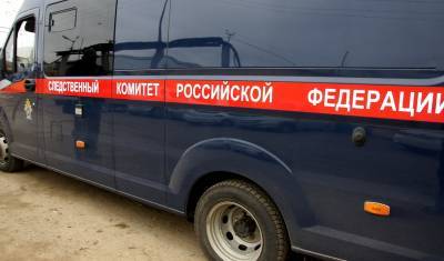 Александр Бастрыкин - Игорь Краснов - Глава СК РФ Бастрыкин поручил проверить предположения юристов из Уфы о коррупции в СК - mkset.ru - Россия - Башкирия - Уфа