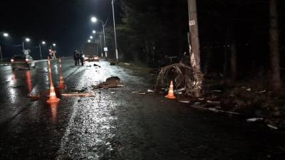 В ДТП на трассе Тюмень – Екатеринбург погиб водитель и его питбуль - newdaynews.ru - Екатеринбург - Тюмень