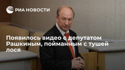 Валерий Рашкин - Опубликовано видео с депутатом от КПРФ Рашкиным, в машине которого нашли тушу убитого лося - ria.ru - Москва - Россия - Саратовская обл.
