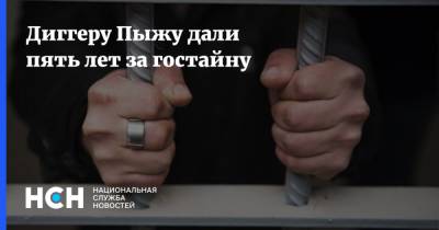 Андрей Пыж - Диггеру Пыжу дали пять лет за гостайну - nsn.fm - Москва