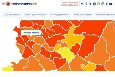 Тульская область попала в «оранжевую зону» по заболеваемости коронавирусом - tula.mk.ru - Тульская обл.