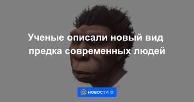 Ученые описали новый вид предка современных людей - news.mail.ru - Эфиопия