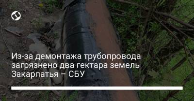Из-за демонтажа трубопровода загрязнено два гектара земель Закарпатья – СБУ - liga.net - Украина