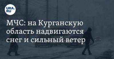 МЧС: на Курганскую область надвигаются снег и сильный ветер - ura.news - Курганская обл.