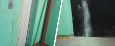 Жительница одного из домов Новосибирска хулиганством привлекла к себе внимание полиции - runews24.ru - Новосибирск