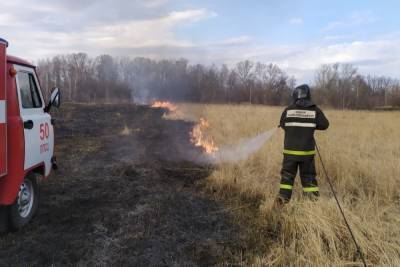 В Пензенской области за сутки потушили 11 пожаров - mk.ru - Россия - Пензенская обл.