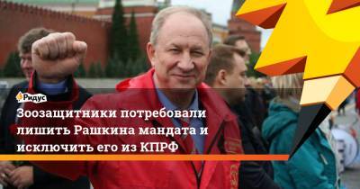 Валерий Рашкин - Зоозащитники потребовали лишить Рашкина мандата и исключить его из КПРФ - ridus.ru - Россия - Саратовская обл.