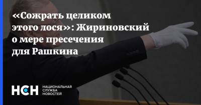 Валерий Рашкин - Владимир Жириновский - «Сожрать целиком этого лося»: Жириновский о мере пресечения для Рашкина - nsn.fm - Россия