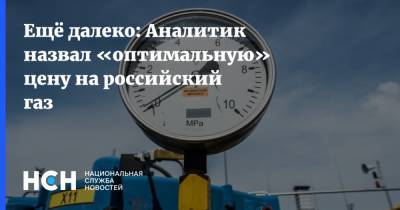 Александр Фролов - Ещё далеко: Аналитик назвал «оптимальную» цену на российский газ - nsn.fm - Россия