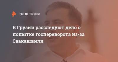 Михаил Саакашвили - Ираклий Гарибашвили - В Грузии расследуют дело о попытке госпереворота из-за Саакашвили - ren.tv - Украина - Грузия