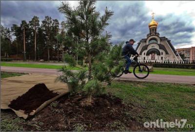Игорь Петров - Сосновый Бор станет столицей Ленинградской области в 2022 году - online47.ru - Ленинградская обл.