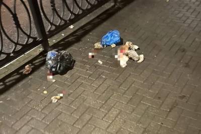 В центре Твери нашли тела истерзанных кроликов - tver.mk.ru - Тверь - Тверская обл. - район Центральный, Тверь