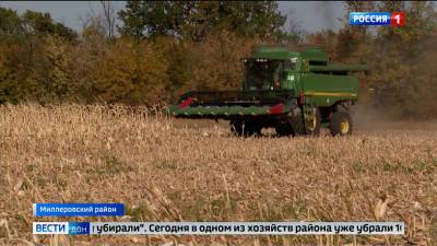 Благодаря восстановлению мелиорации на Дону стали получать рекордный урожай кукурузы - dontr.ru - Ростовская обл.