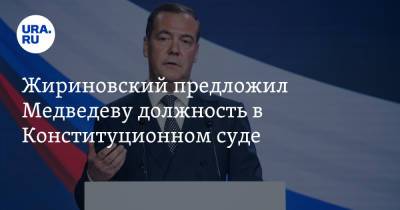 Дмитрий Медведев - Владимир Жириновский - Жириновский предложил Медведеву должность в Конституционном суде - ura.news - Москва - Россия - Петербурга