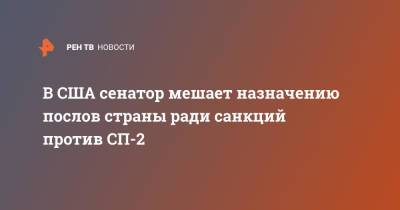 Тед Круз - В США сенатор мешает назначению послов страны ради санкций против СП-2 - ren.tv - США - Техас