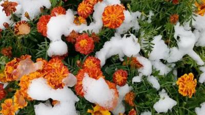 Вазир Мартазинов - Зима начнется в октябре: синоптики рассказали, когда в украине выпадет первый снег - vchaspik.ua - Украина - Экология