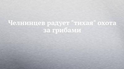 Челнинцев радует "тихая" охота за грибами - chelny-izvest.ru - Набережные Челны