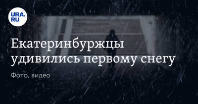 Екатеринбуржцы удивились первому снегу. Фото, видео - ura.news - Екатеринбург - Свердловская обл. - Twitter