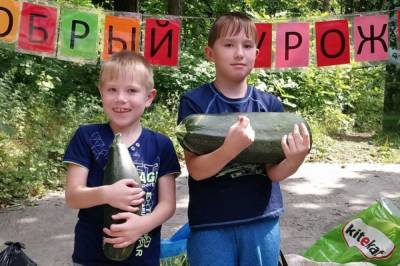 Хабаровчане принесли в зоосад 8,5 тонн овощей - hab.aif.ru - Хабаровский край - Хабаровск