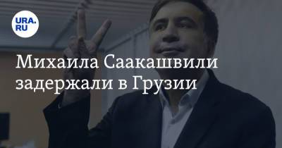 Михаил Саакашвили - Ираклий Гарибашвили - Михаила Саакашвили задержали в Грузии - ura.news - Украина - Грузия