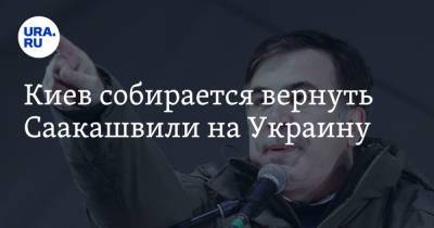 Владимир Зеленский - Михаил Саакашвили - Киев собирается вернуть Саакашвили на Украину - ura.news - Украина - Киев - Грузия