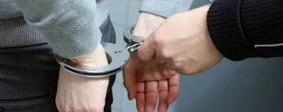 В Ленинградской области задержан подозреваемый в убийстве матери и 3-летней сестры - runews24.ru - Россия - Ленинградская обл.