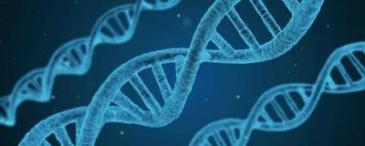 Вирджиния - Ученые Университета Вирджинии открыли 14 генов, которые отвечают за ожирение - runews24.ru