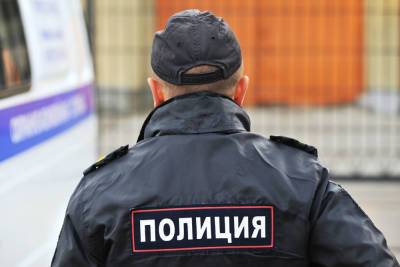 Водителя, едва не сбившего женщину с коляской и устроившего стрельбу, ищут в Петербурге - ivbg.ru - Украина - Санкт-Петербург - респ. Дагестан - Петербург