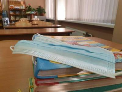 Сергей Кравцов - В России не планируют вводить в школах карантин из коронавируса – Учительская газета - ug.ru - Россия - Ростов-На-Дону