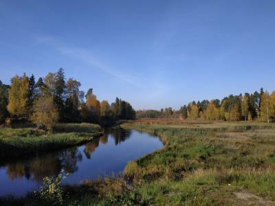 Петербуржец поделился кадрами октябрьских пейзажей у реки Оредеж - ivbg.ru - Украина - Ленинградская обл.