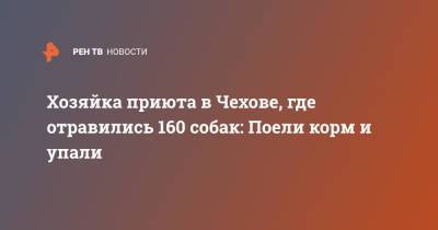 Хозяйка приюта в Чехове, где отравились 160 собак: Поели корм и упали - ren.tv - Московская обл. - Чехов - Московская область