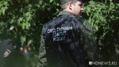 Зоя Осколкова - В Ленобласти обнаружили изуродованный труп женщины - newdaynews.ru - Ленинградская обл. - Санкт-Петербург