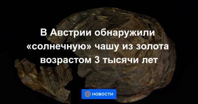 В Австрии обнаружили «солнечную» чашу из золота возрастом 3 тысячи лет - news.mail.ru - Австрия