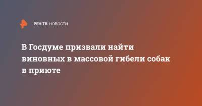 Владимир Бурматов - В Госдуме призвали найти виновных в массовой гибели собак в приюте - ren.tv - Москва - Московская обл. - Московская область - Экология